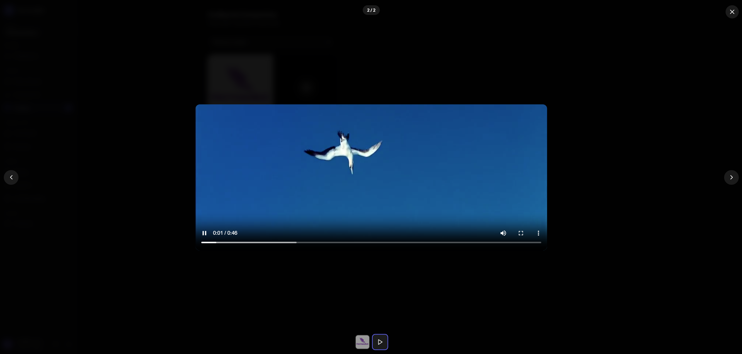 Preview de Mídia Online 2